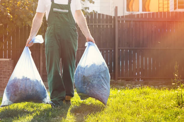 Best Electronics Removal Services  in Danville, PA